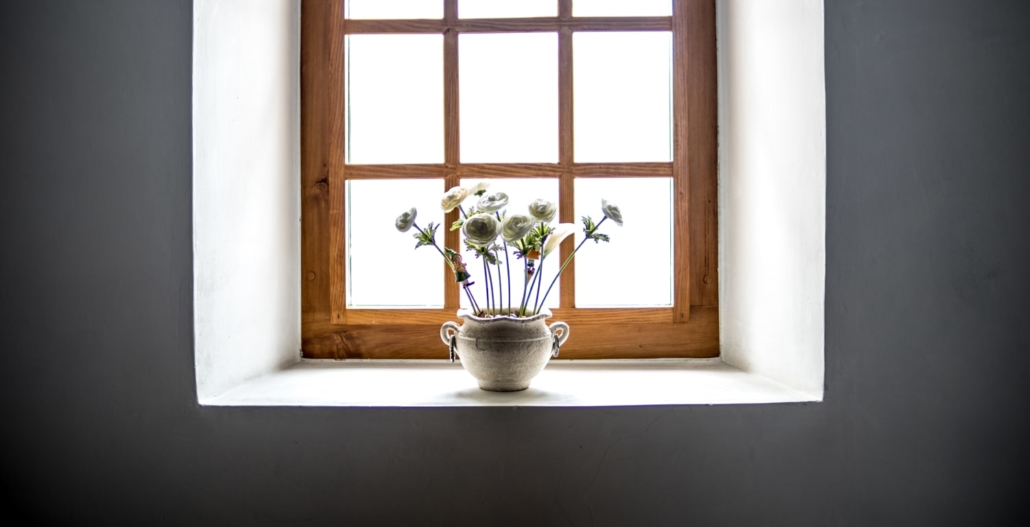 Blumen im Fenster